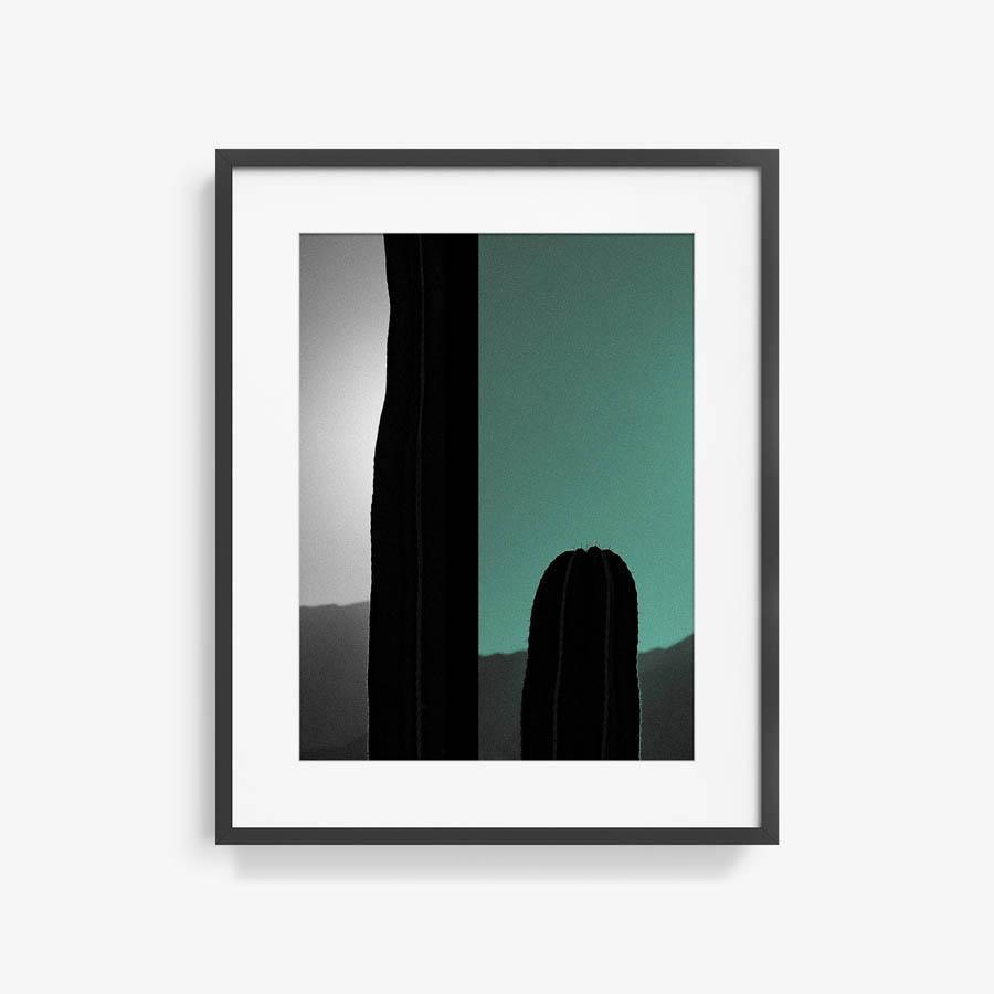 Photography by Neil Kryszak