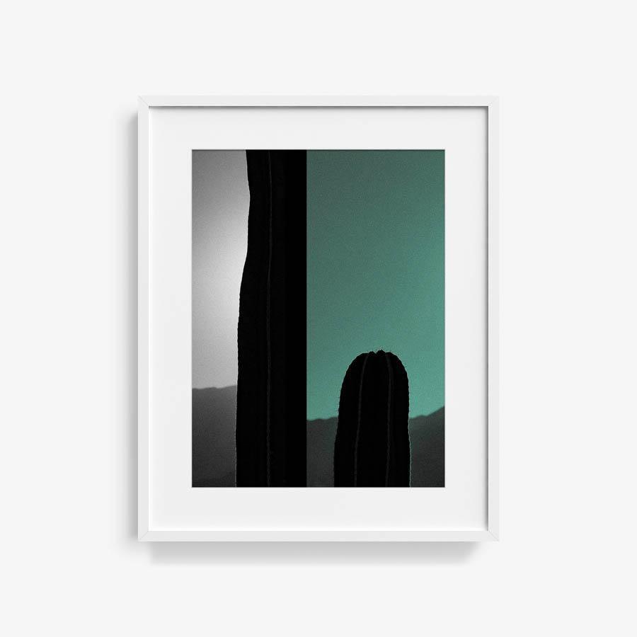Photography by Neil Kryszak