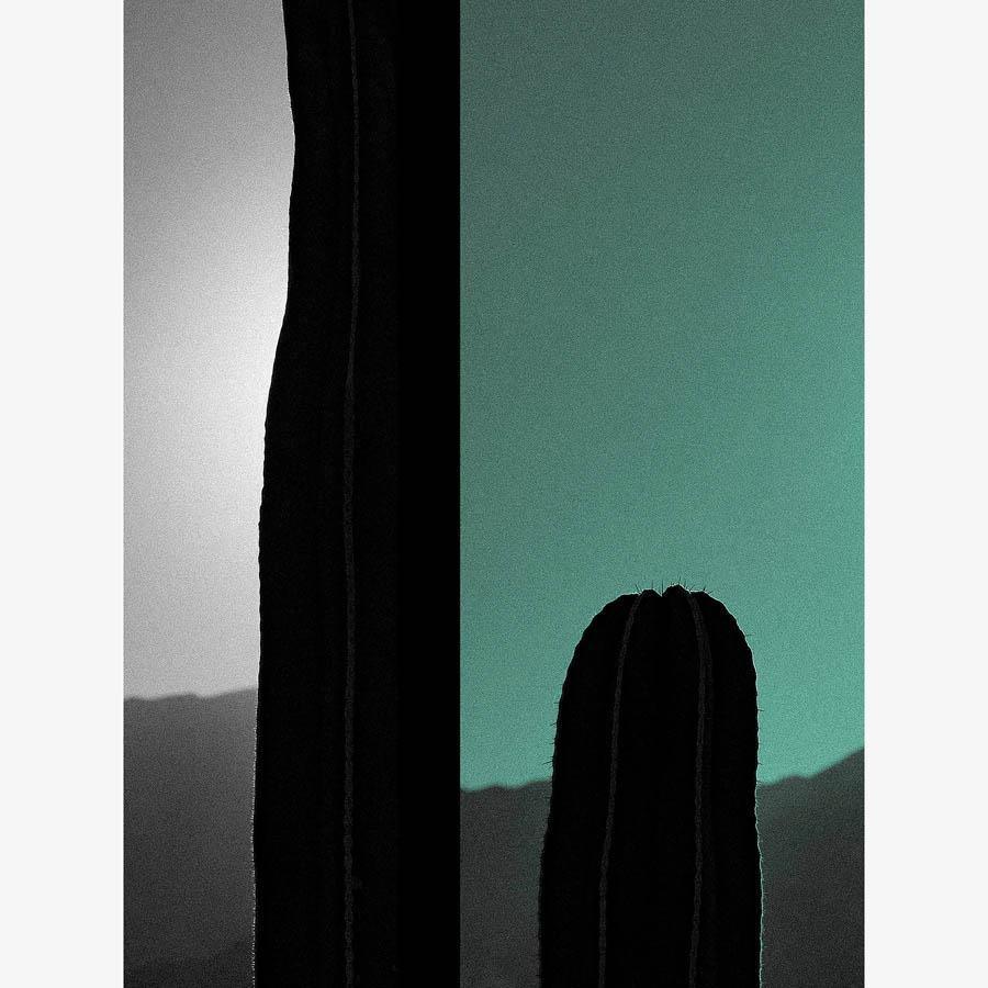 Photography by Neil Kryszak