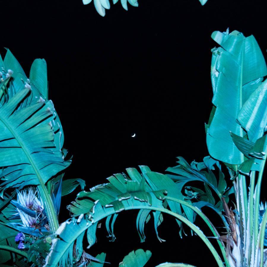 Photography by Neil Kryszak