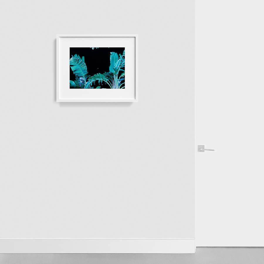 Photography by Neil Kryszak