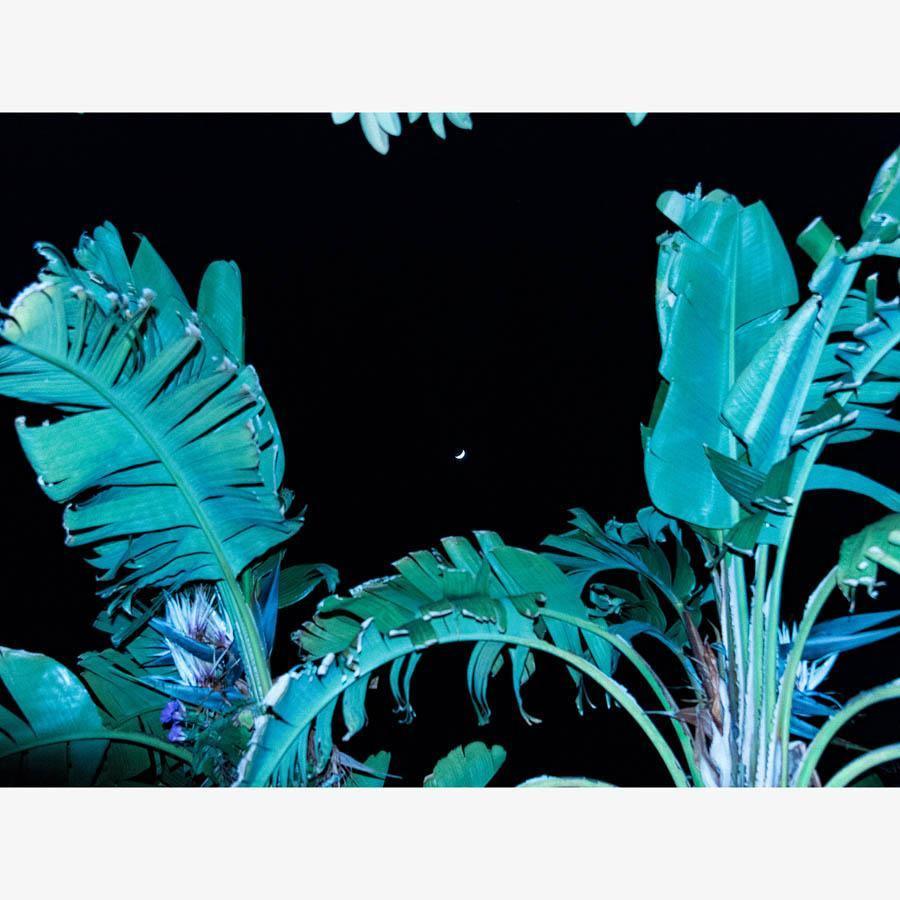 Photography by Neil Kryszak