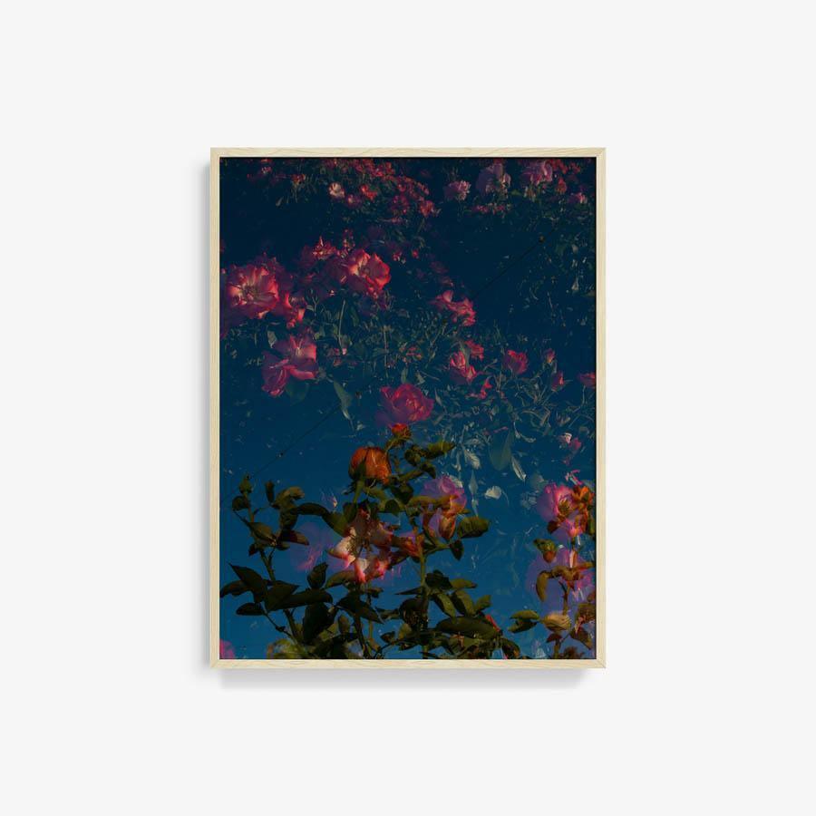 Photograph by Neil Kryszak