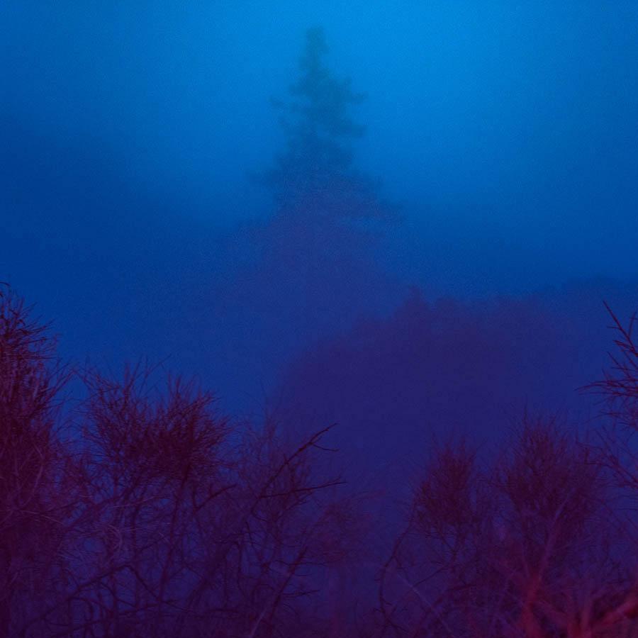 Photograph by Neil Kryszak