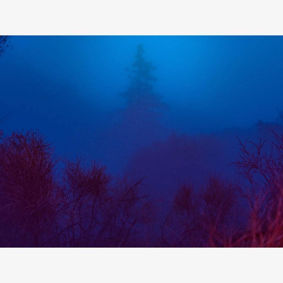 Photograph by Neil Kryszak