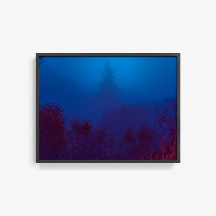 Photograph by Neil Kryszak