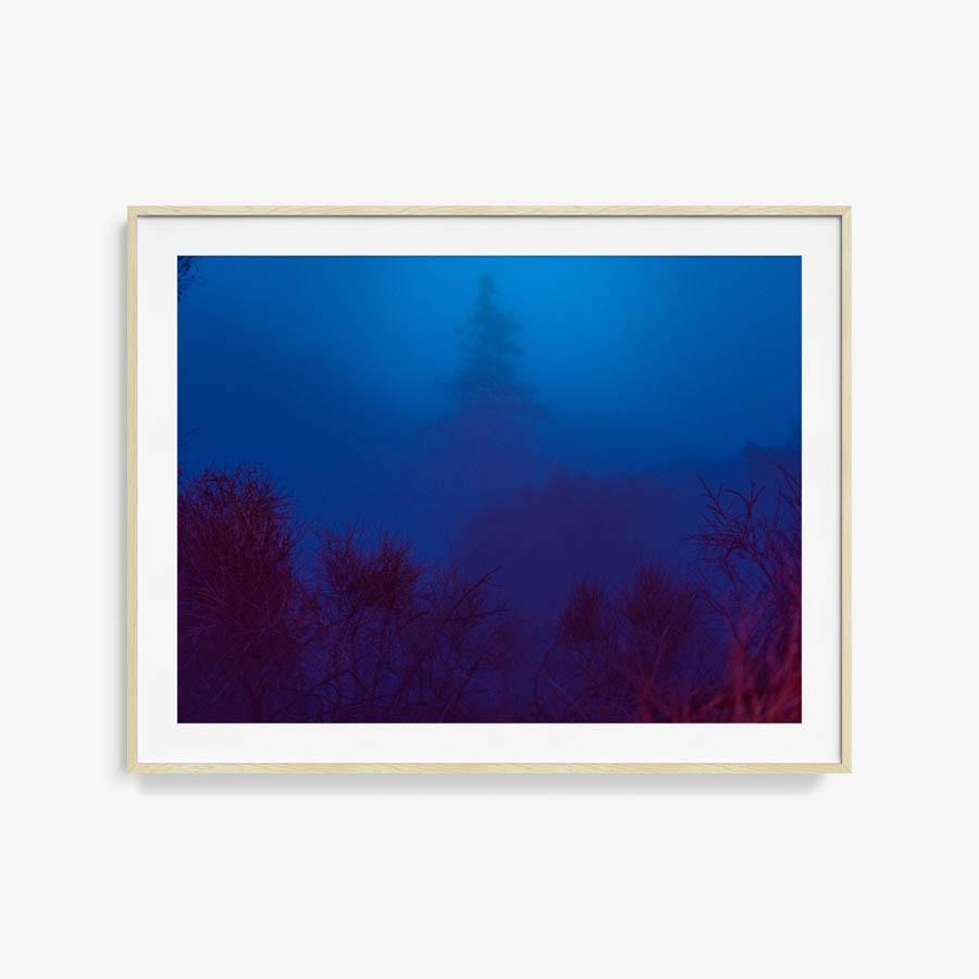 Photograph by Neil Kryszak