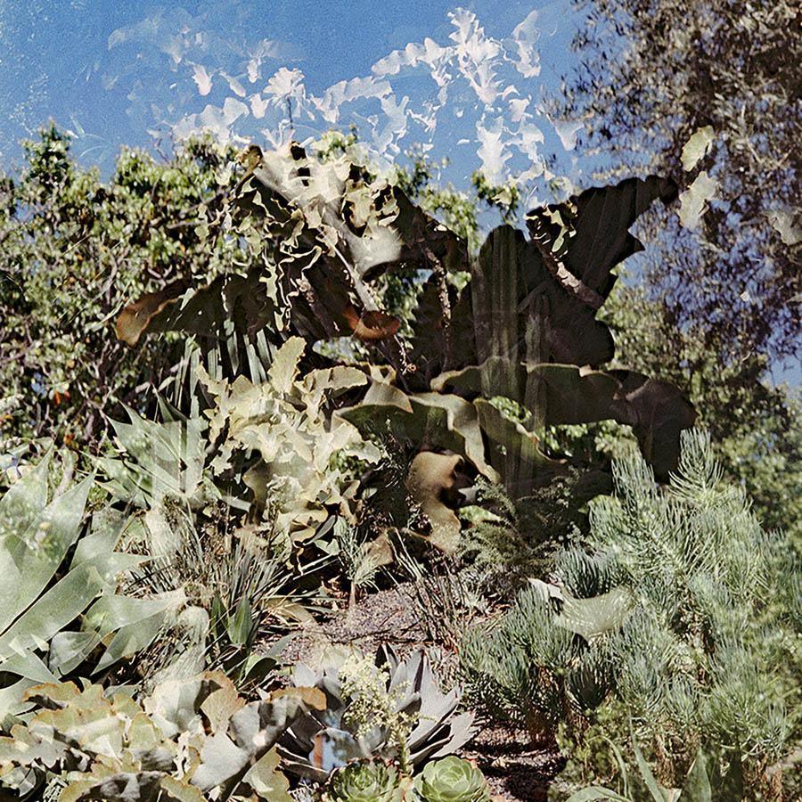 Photograph by Neil Kryszak