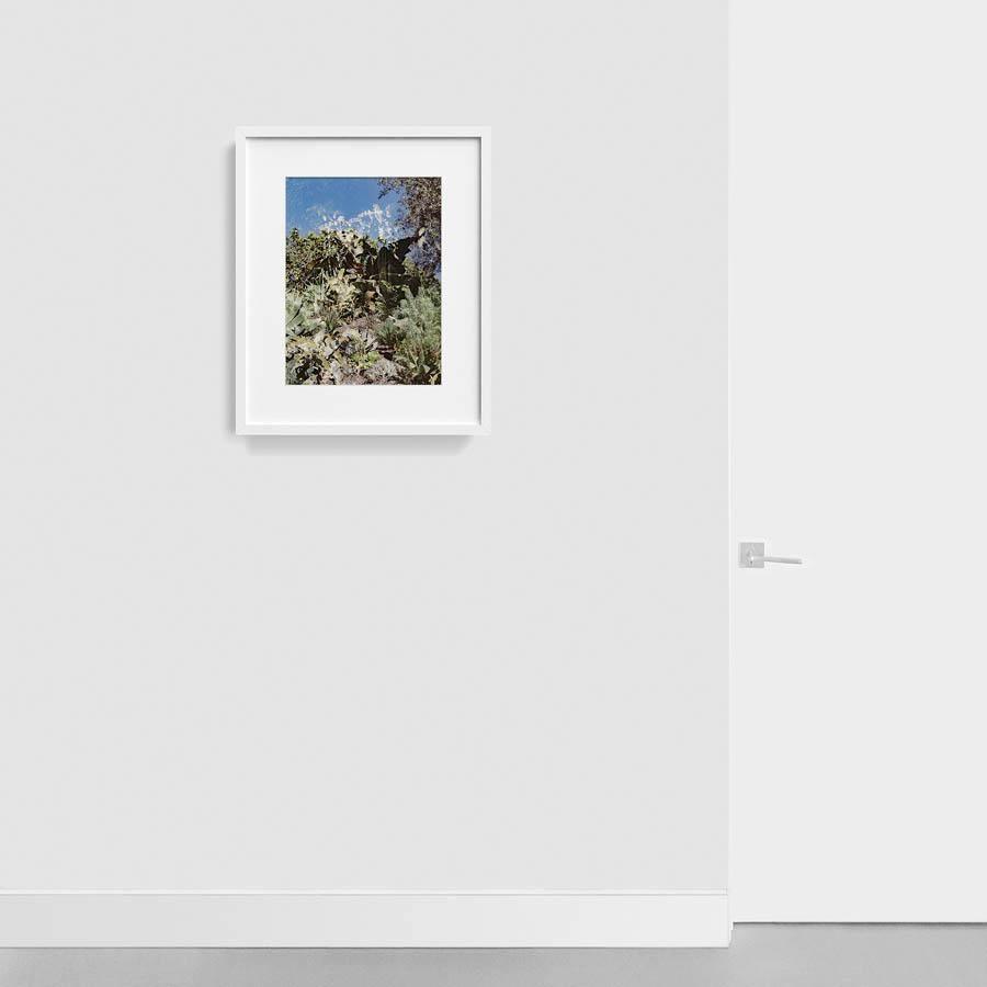 Photograph by Neil Kryszak