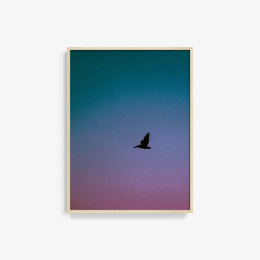 Photography by Neil Kryszak