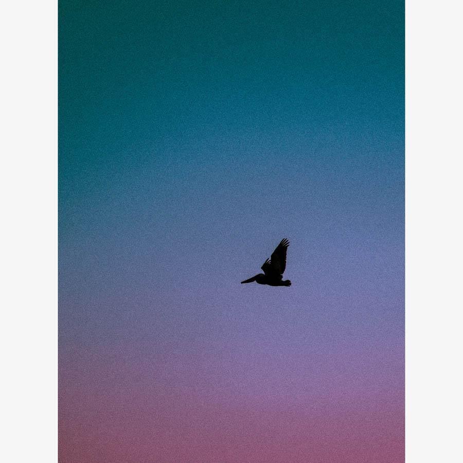 Photography by Neil Kryszak