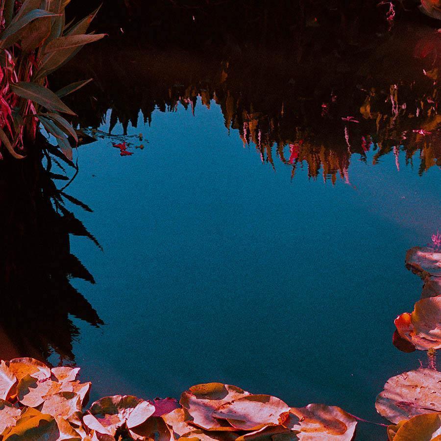 Untitled , Photography by Untitled Tappan