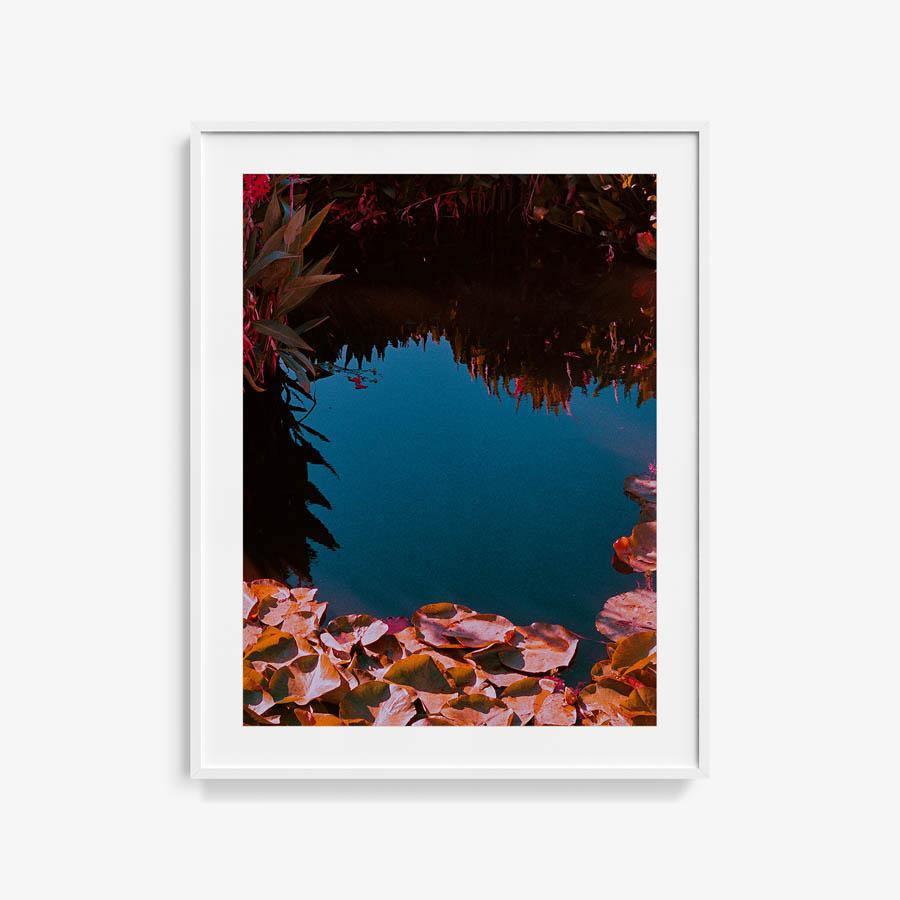 Photography by Neil Kryszak