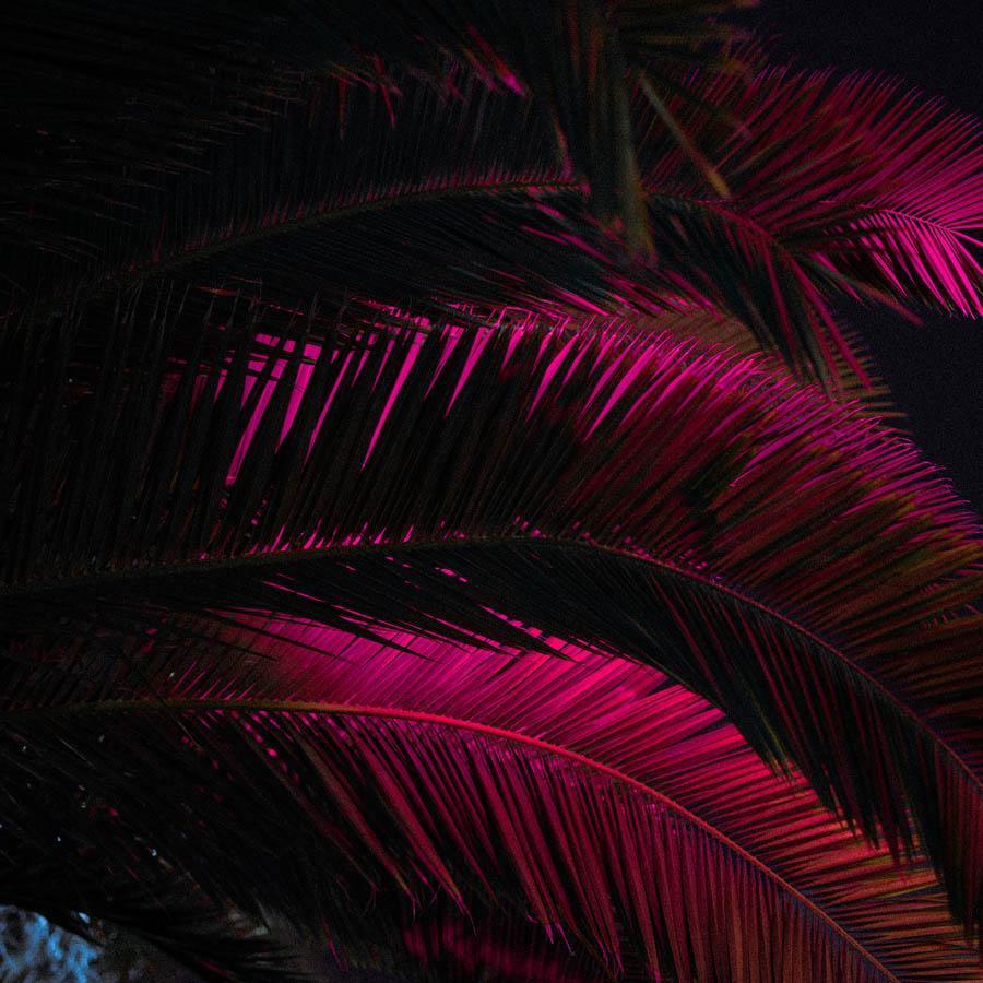 Photography by Neil Kryszak
