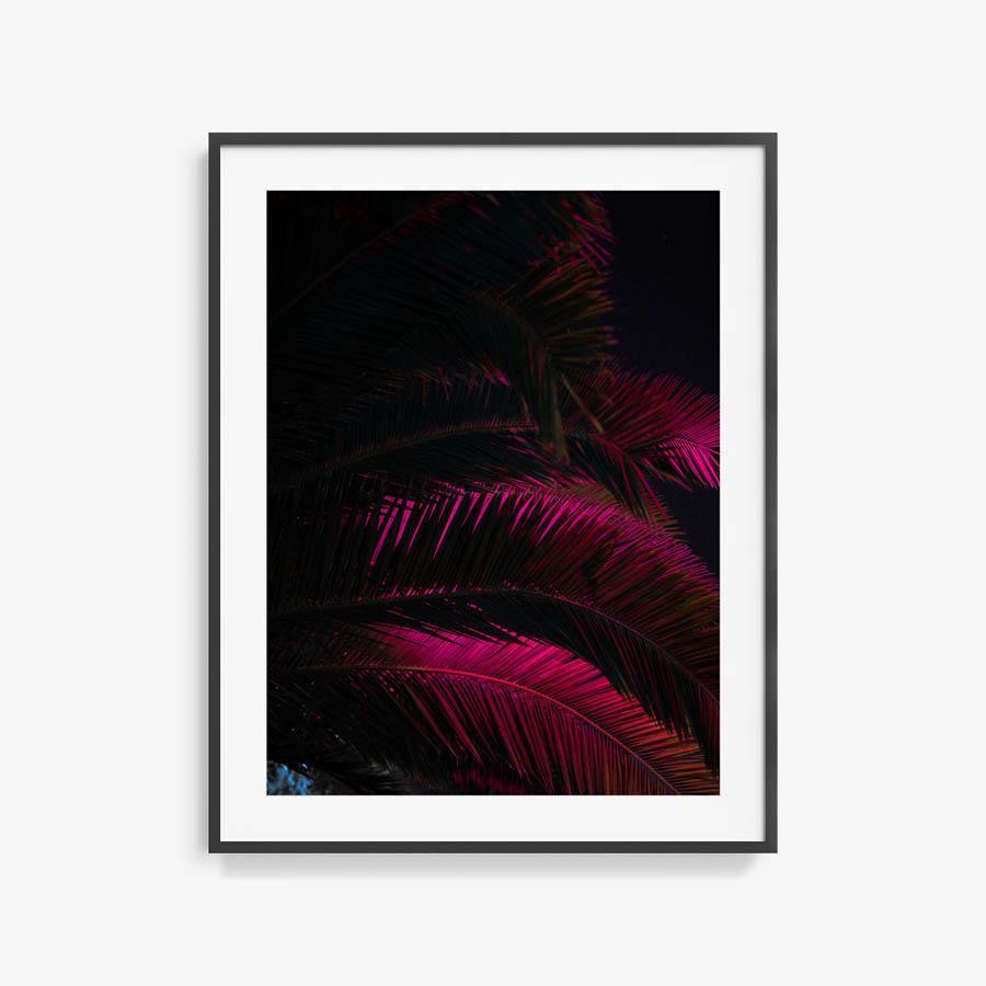 Photography by Neil Kryszak
