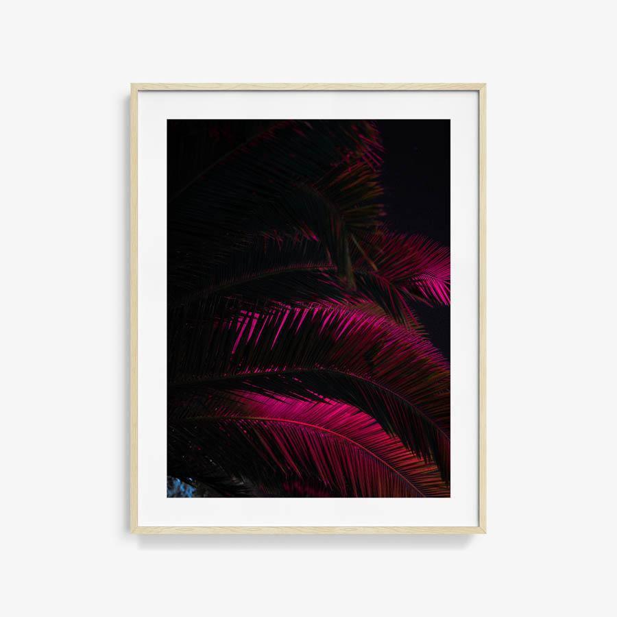 Photography by Neil Kryszak