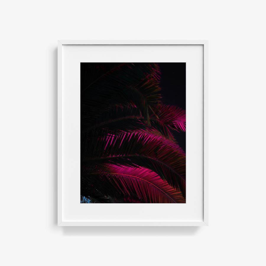 Photography by Neil Kryszak