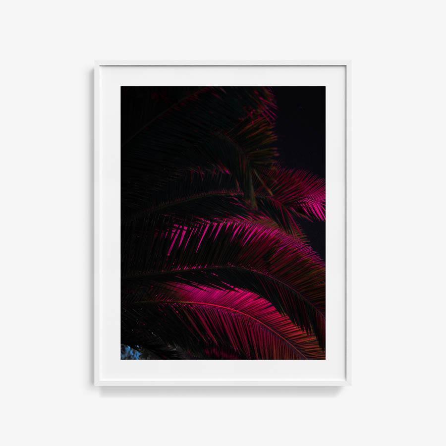Photography by Neil Kryszak