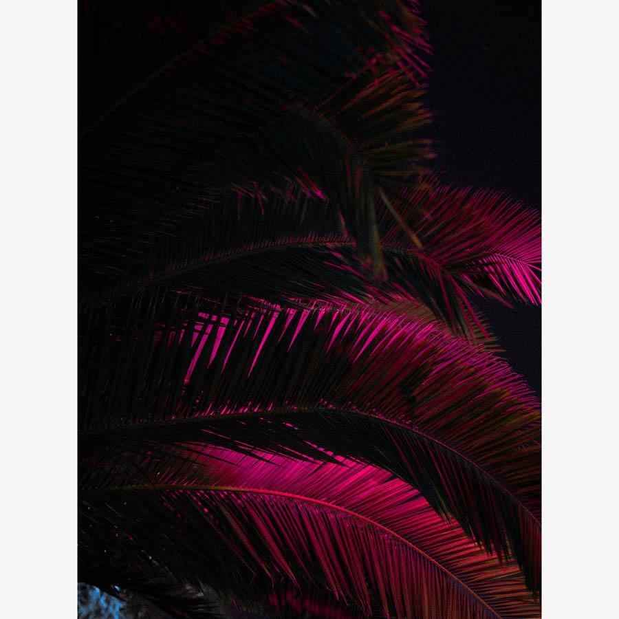 Photography by Neil Kryszak
