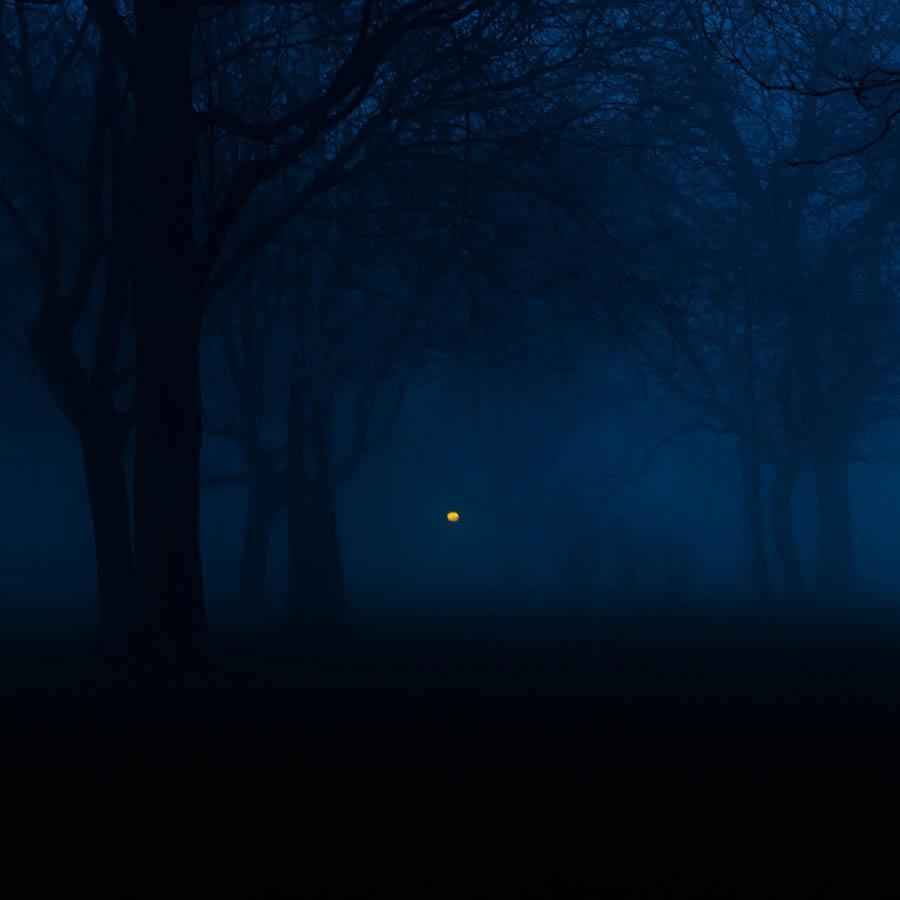 Photography by Neil Kryszak