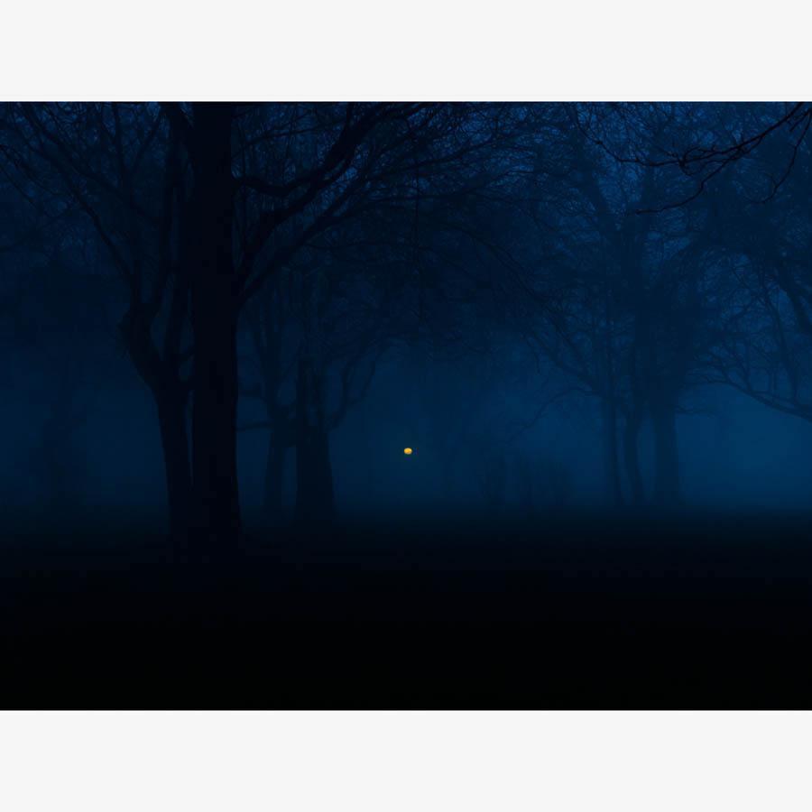 Photography by Neil Kryszak
