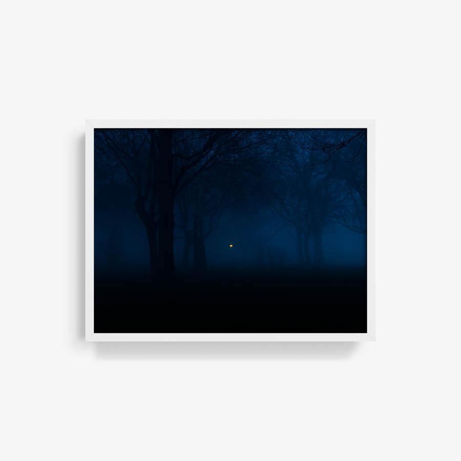 Photography by Neil Kryszak