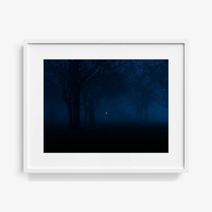 Photography by Neil Kryszak