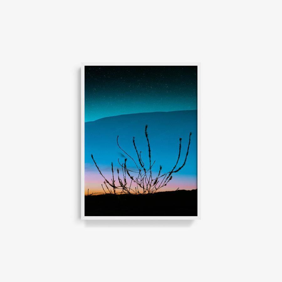 Photography by Neil Kryszak