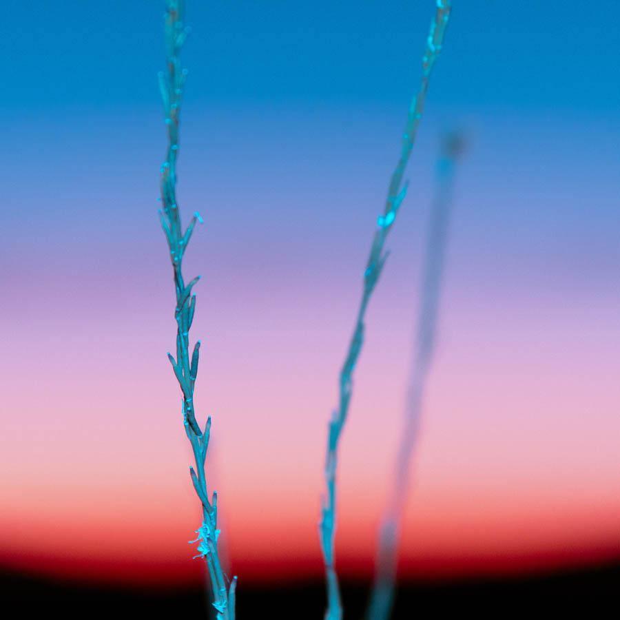 Photograph by Neil Kryszak