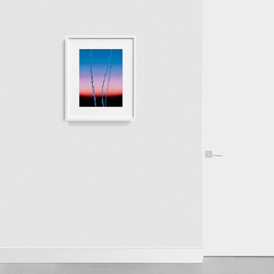 Photograph by Neil Kryszak