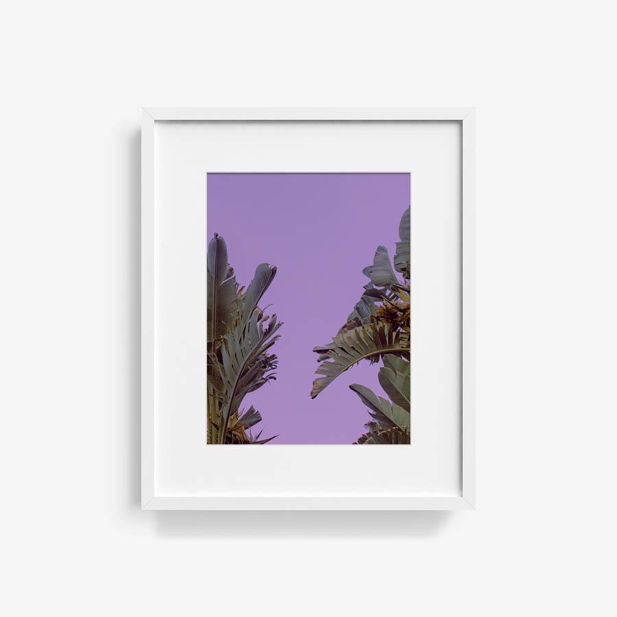 Untitled (At Peace), Photograph  by  Untitled (At Peace) Tappan
