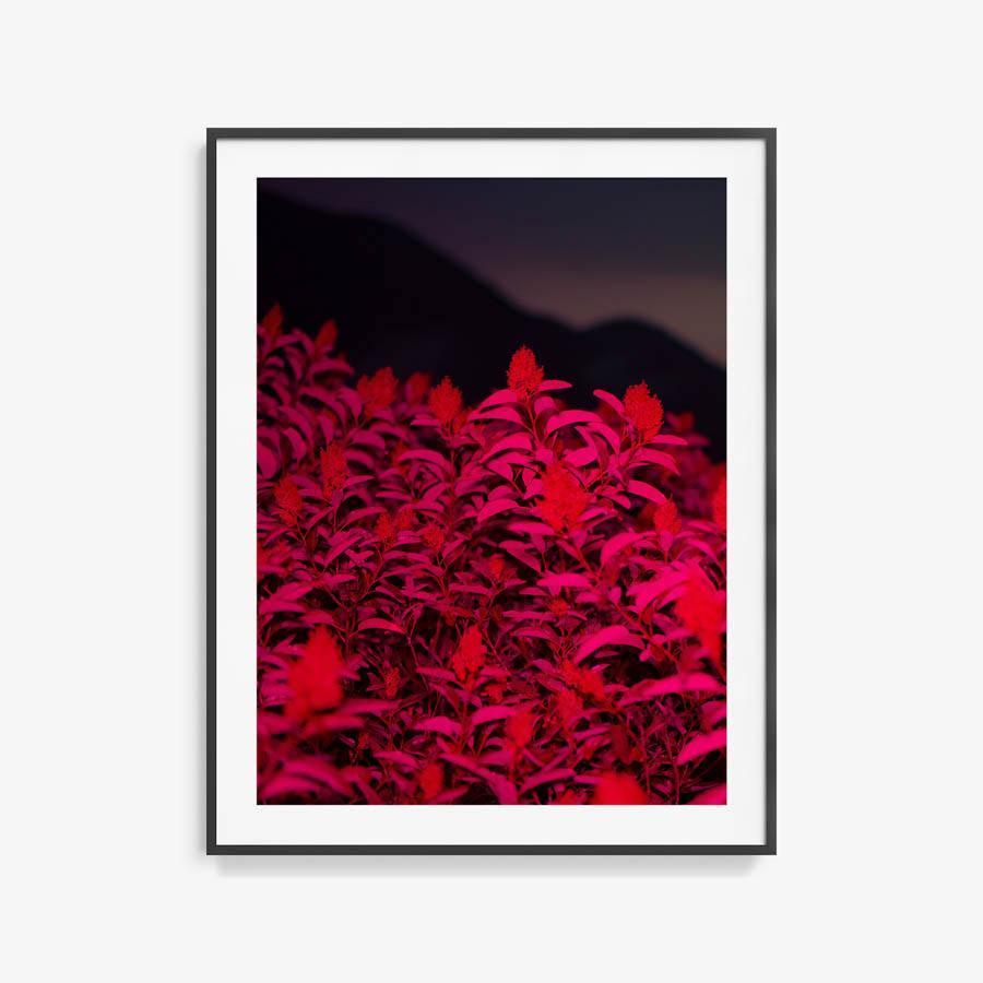 Photograph by Neil Kryszak