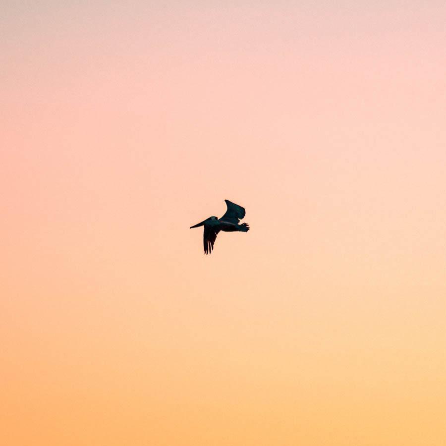 Photograph by Neil Kryszak
