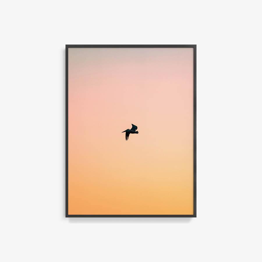 Untitled (Yellow Bird), Photograph  by  Untitled (Yellow Bird) Tappan