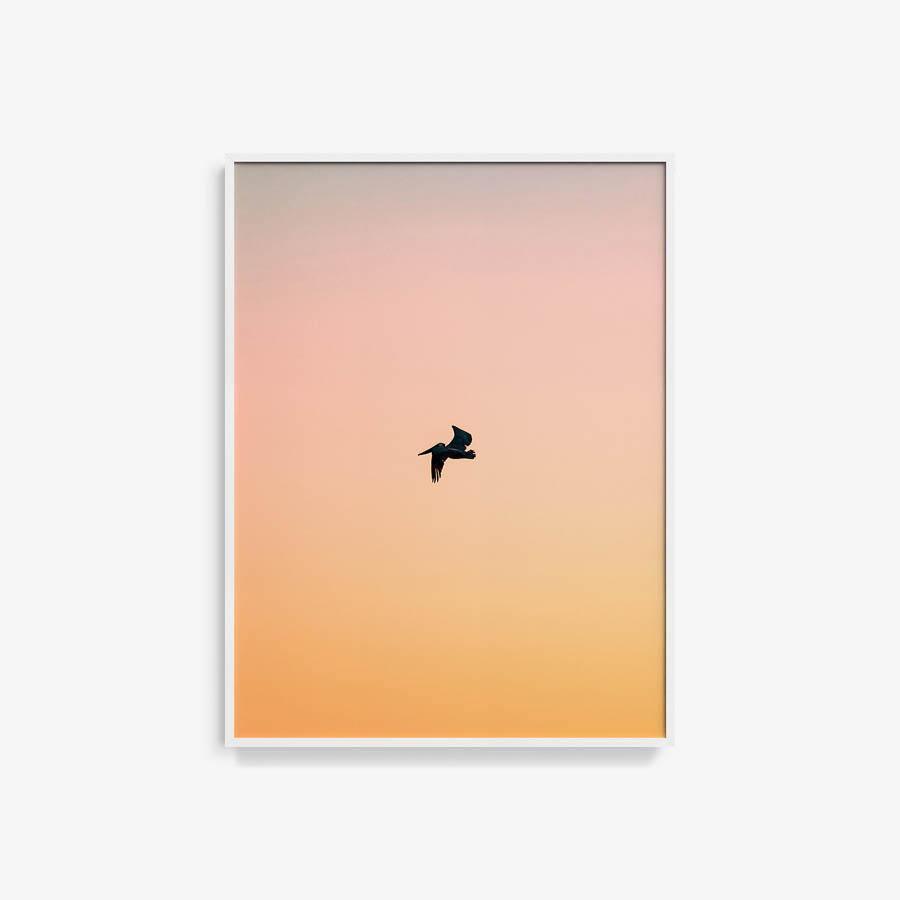 Untitled (Yellow Bird), Photograph  by  Untitled (Yellow Bird) Tappan