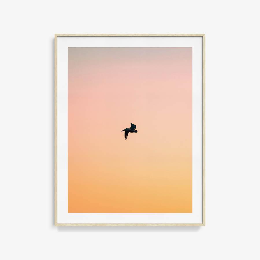 Untitled (Yellow Bird), Photograph  by  Untitled (Yellow Bird) Tappan