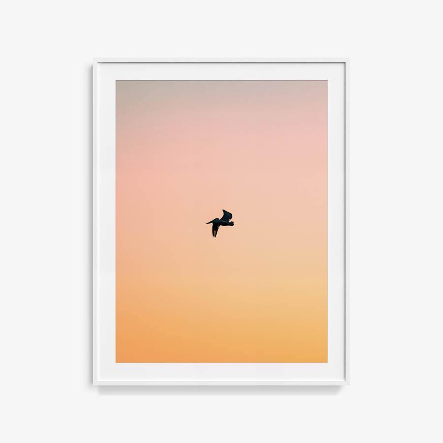 Untitled (Yellow Bird), Photograph  by  Untitled (Yellow Bird) Tappan