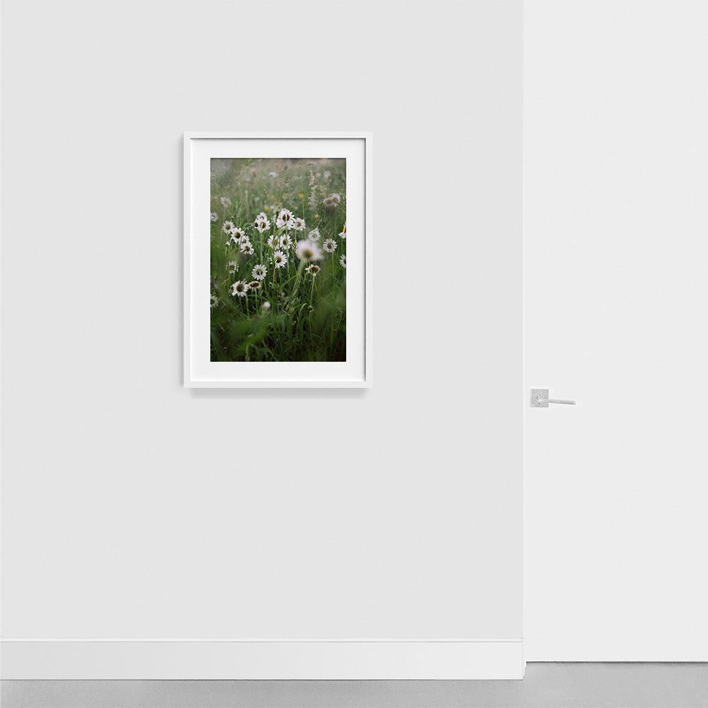 Photograph by Johanna Tagada Hoffbeck