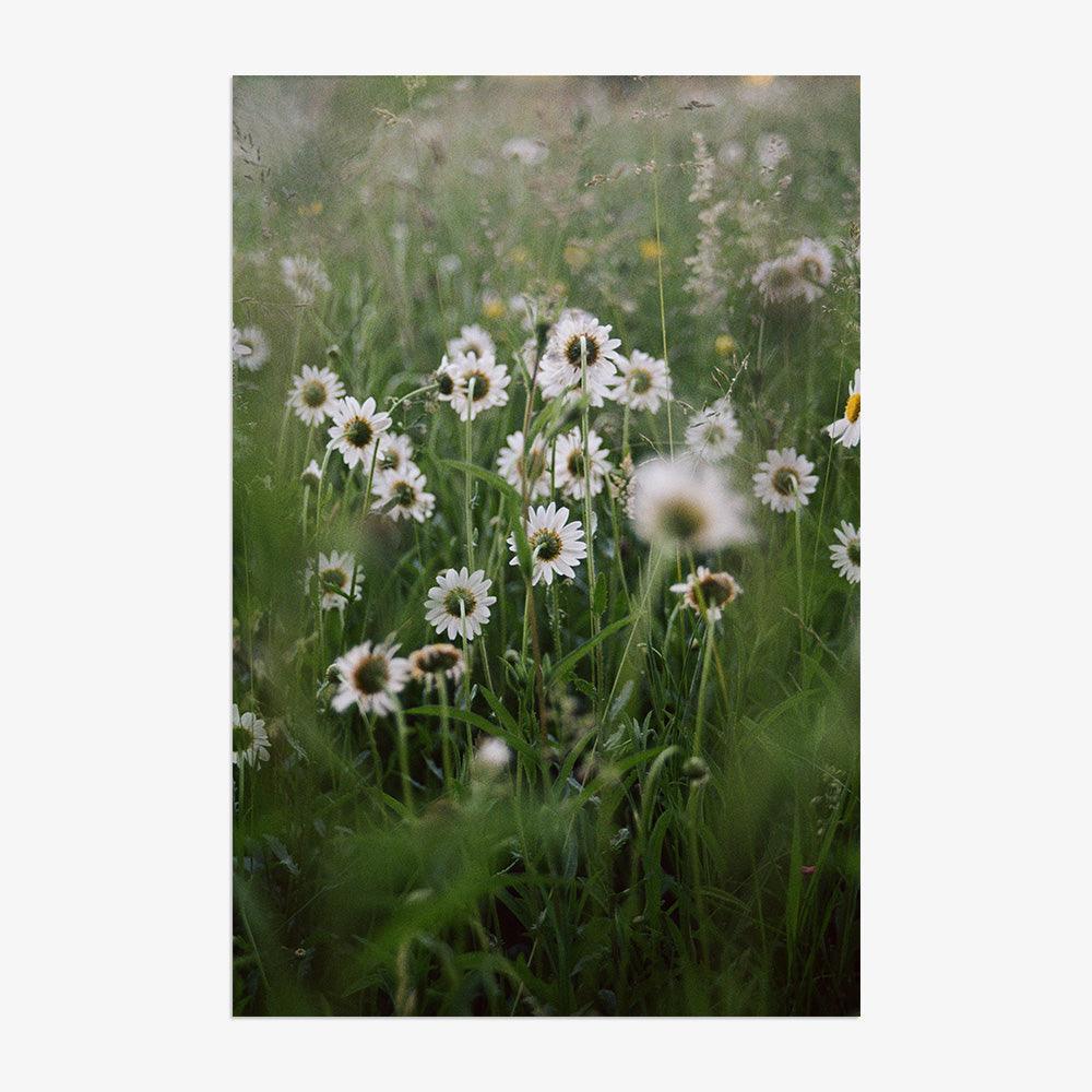 Photograph by Johanna Tagada Hoffbeck
