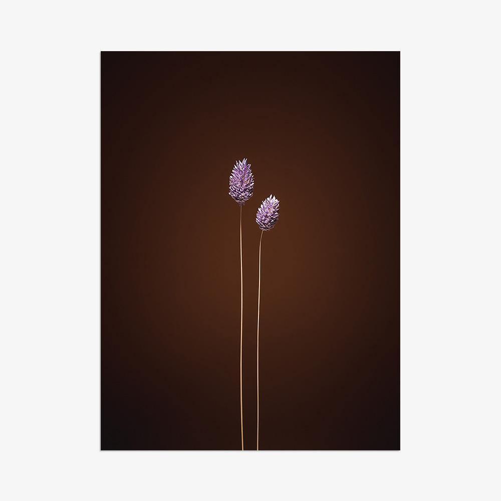 Photograph by Jan Prengel
