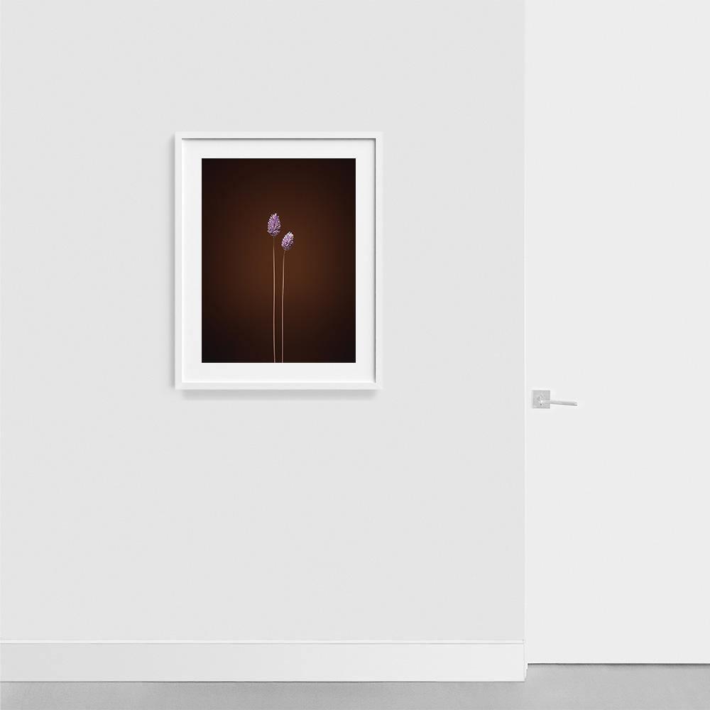 Photograph by Jan Prengel