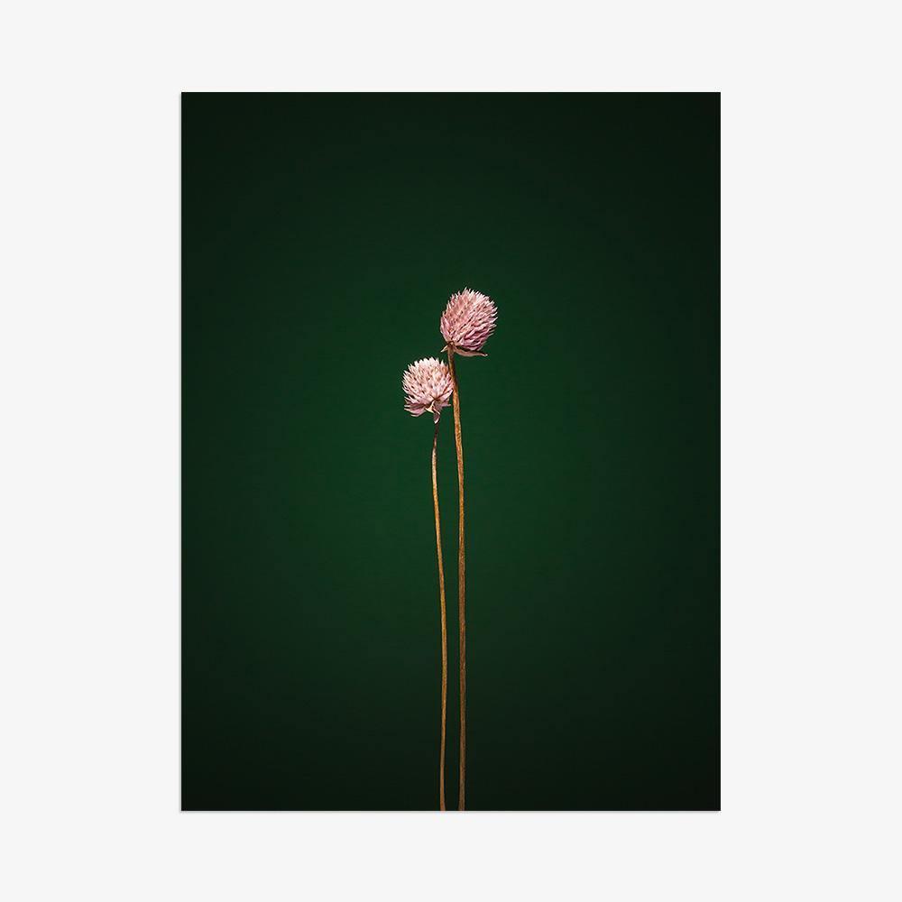 Photograph by Jan Prengel