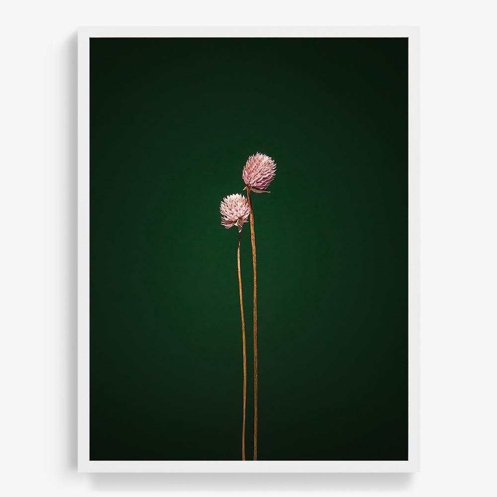 Photograph by Jan Prengel