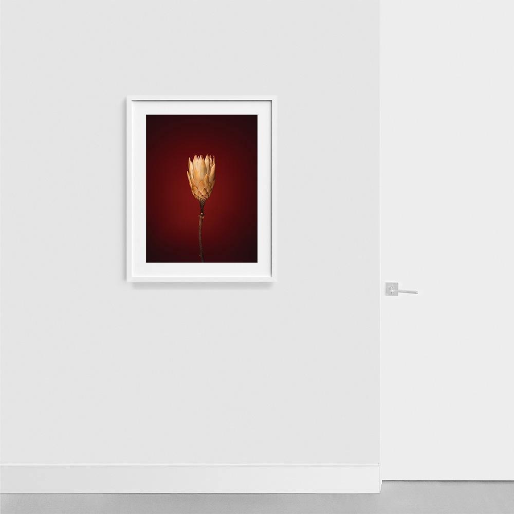 Photograph by Jan Prengel