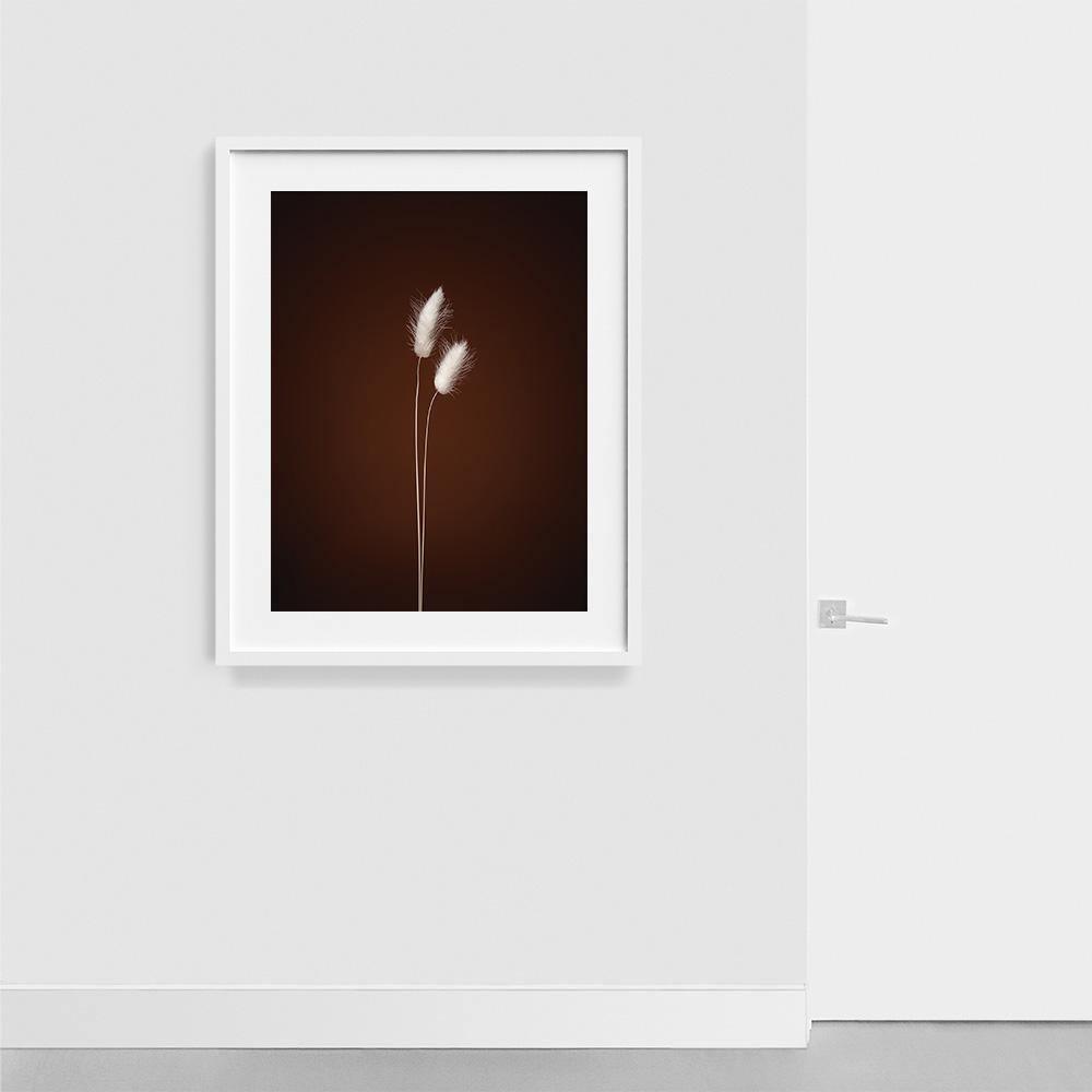 Photograph by Jan Prengel