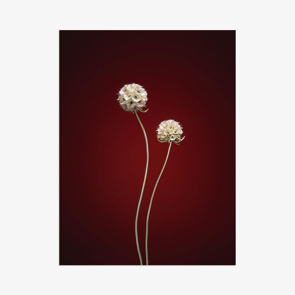 Photograph by Jan Prengel