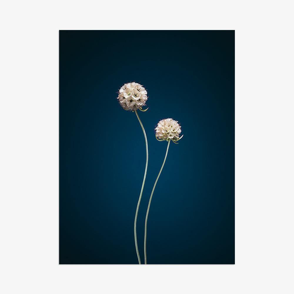 Photograph by Jan Prengel