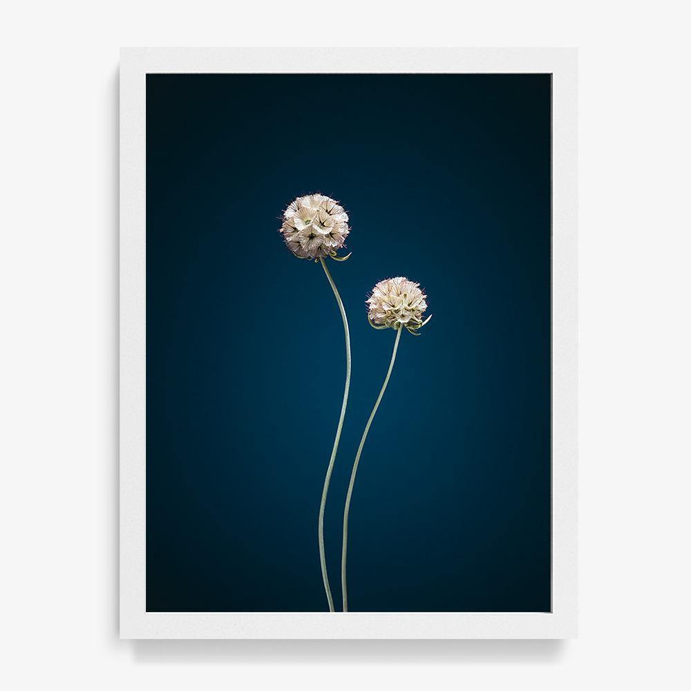 Photograph by Jan Prengel