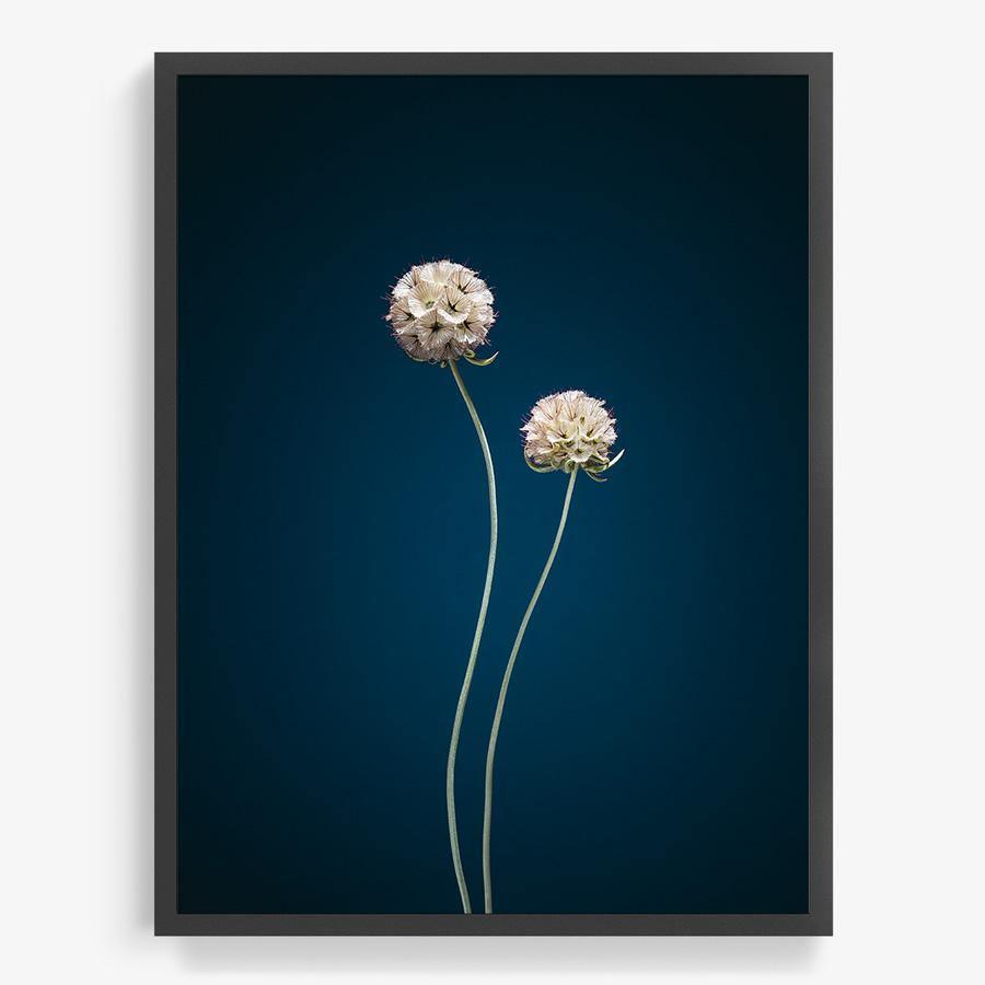 Photograph by Jan Prengel