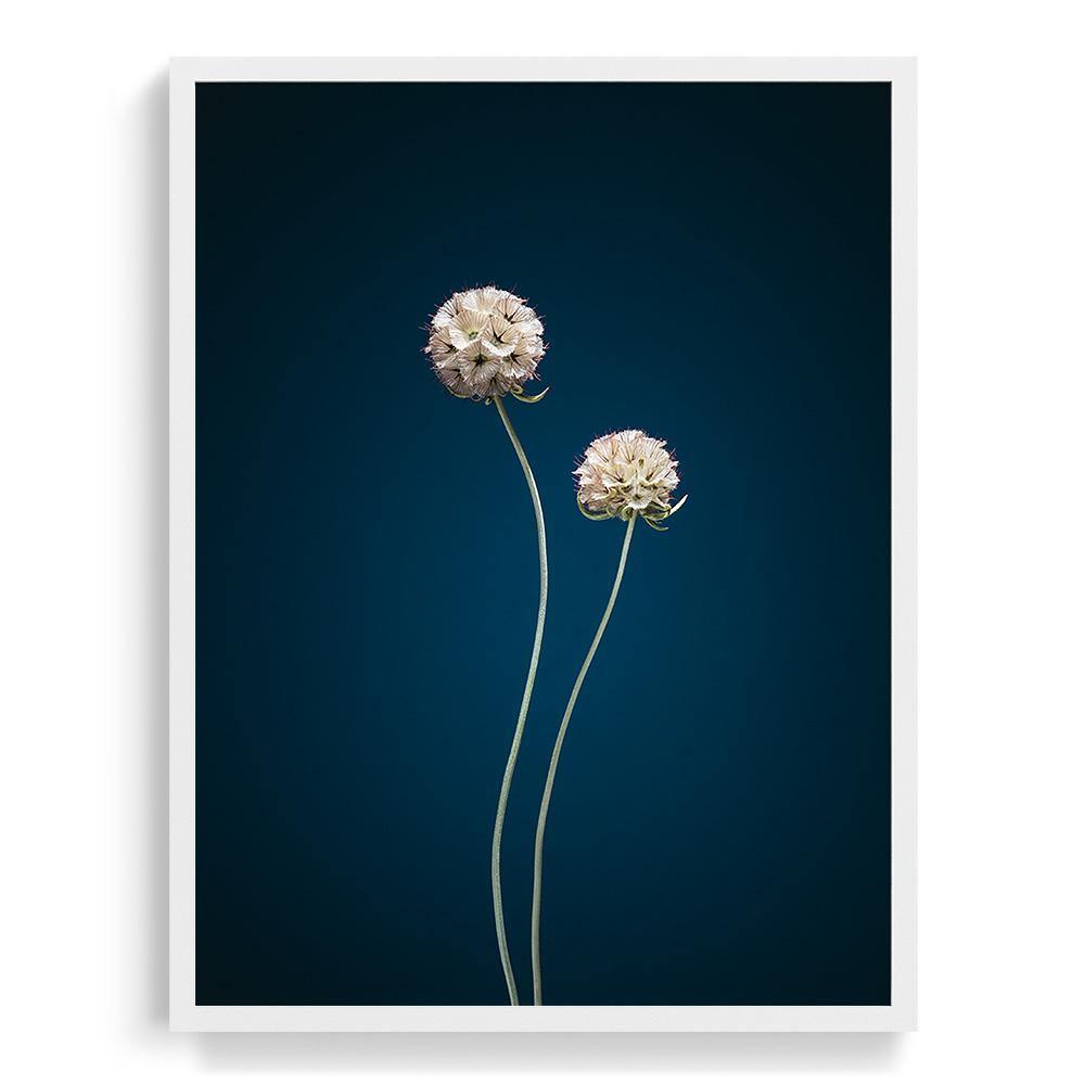 Photograph by Jan Prengel